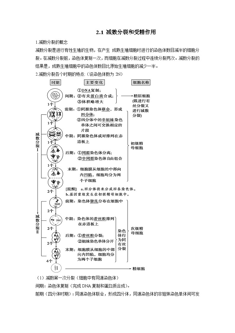 （人教版2019必修2）高一生物课后培优分级练2.1 减数分裂和受精作用（原卷版+解析）01