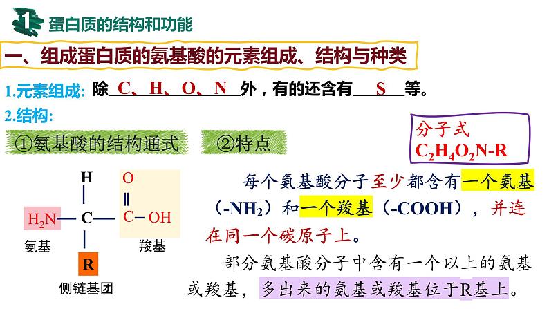 备战高考生物一轮复习优质课件 第03讲 蛋白质和核酸第4页