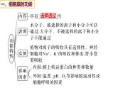 备战高考生物一轮复习优质课件 第04讲 细胞膜与细胞核