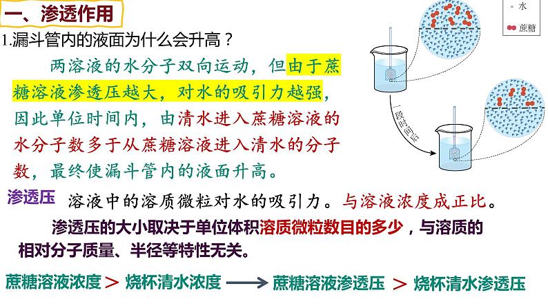 备战高考生物一轮复习优质课件 第06讲 细胞内物质输入和输出06