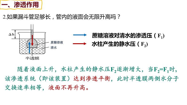 备战高考生物一轮复习优质课件 第06讲 细胞内物质输入和输出07