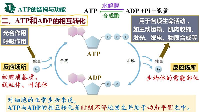 备战高考生物一轮复习优质课件 第07讲 ATP和酶06