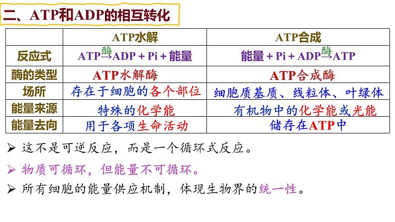 备战高考生物一轮复习优质课件 第07讲 ATP和酶08