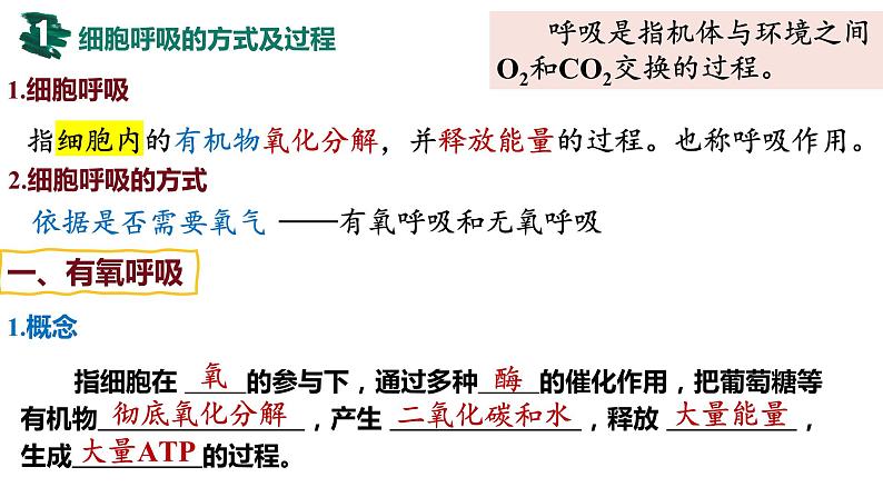 备战高考生物一轮复习优质课件 第08讲 细胞呼吸04