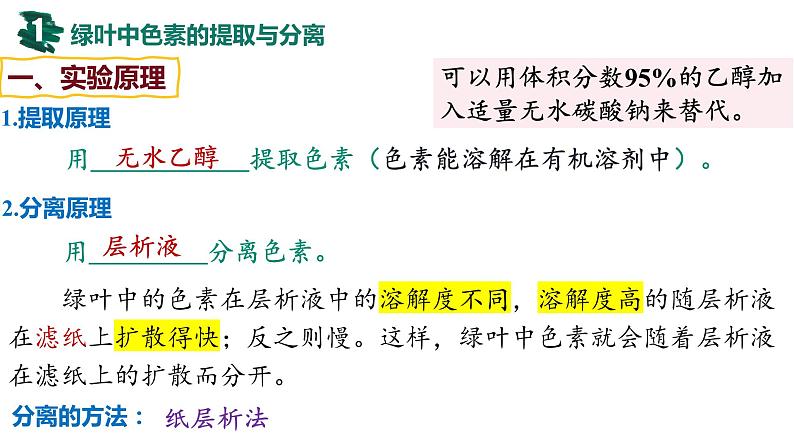 备战高考生物一轮复习优质课件 第09讲 光合作用与能量转化第6页