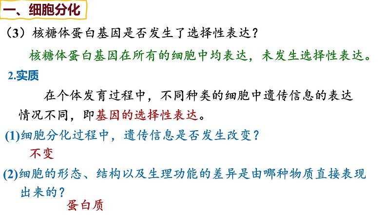 备战高考生物一轮复习优质课件 第12讲 细胞的分化、衰老和死亡第7页