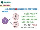 备战高考生物一轮复习优质课件 第15讲 伴性遗传和人类遗传病