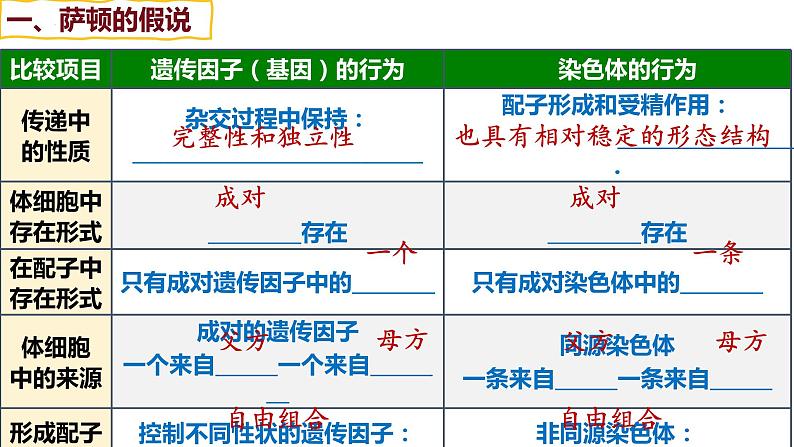 备战高考生物一轮复习优质课件 第15讲 伴性遗传和人类遗传病05