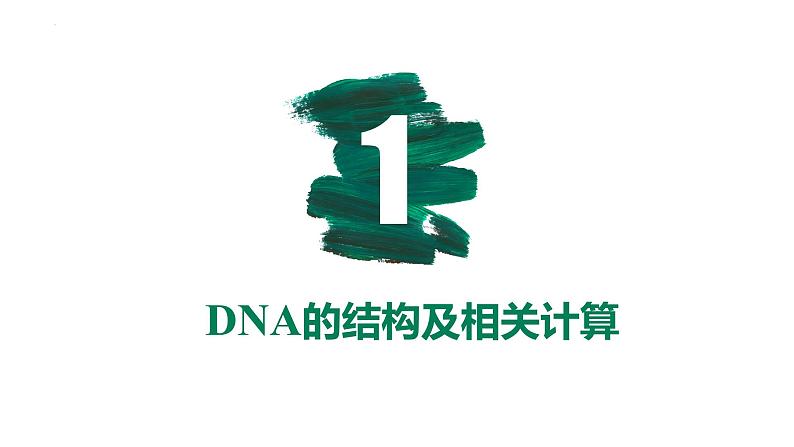 备战高考生物一轮复习优质课件 第17讲 DNA的结构、复制及基因的本质03
