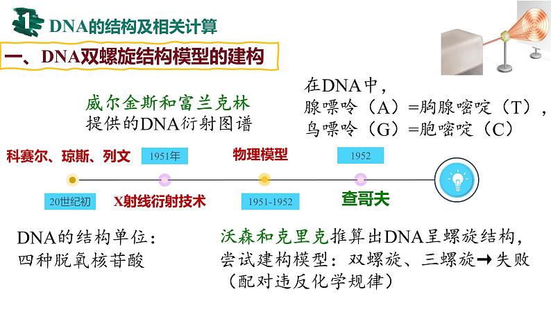 备战高考生物一轮复习优质课件 第17讲 DNA的结构、复制及基因的本质04