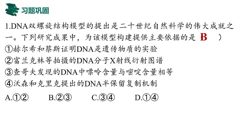 备战高考生物一轮复习优质课件 第17讲 DNA的结构、复制及基因的本质06