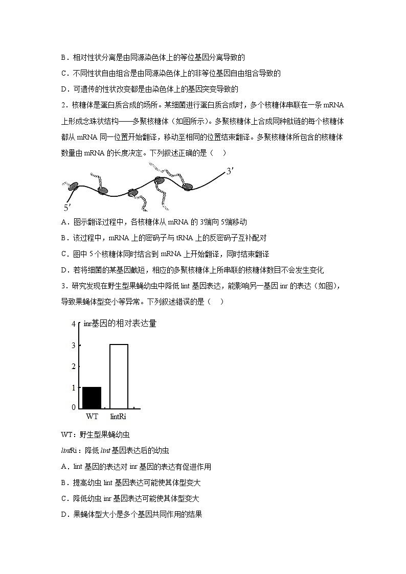 高考生物第一轮复习知识点挖空专项练习 倒数第10天遗传的分子基础（原卷版+答案解析）第3页