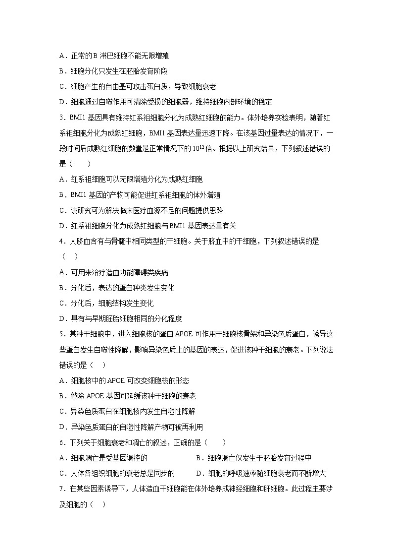 高考生物第一轮复习知识点挖空专项练习 倒数第11天细胞的分化、衰老、凋亡（原卷版+答案解析）第2页