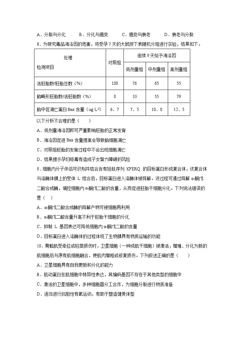 高考生物第一轮复习知识点挖空专项练习 倒数第11天细胞的分化、衰老、凋亡（原卷版+答案解析）第3页