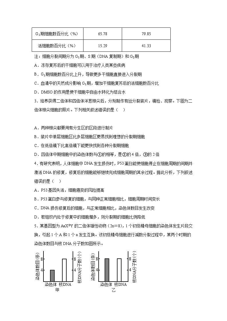 高考生物第一轮复习知识点挖空专项练习 倒数第12天有丝分裂和减数分裂（原卷版+答案解析）第3页