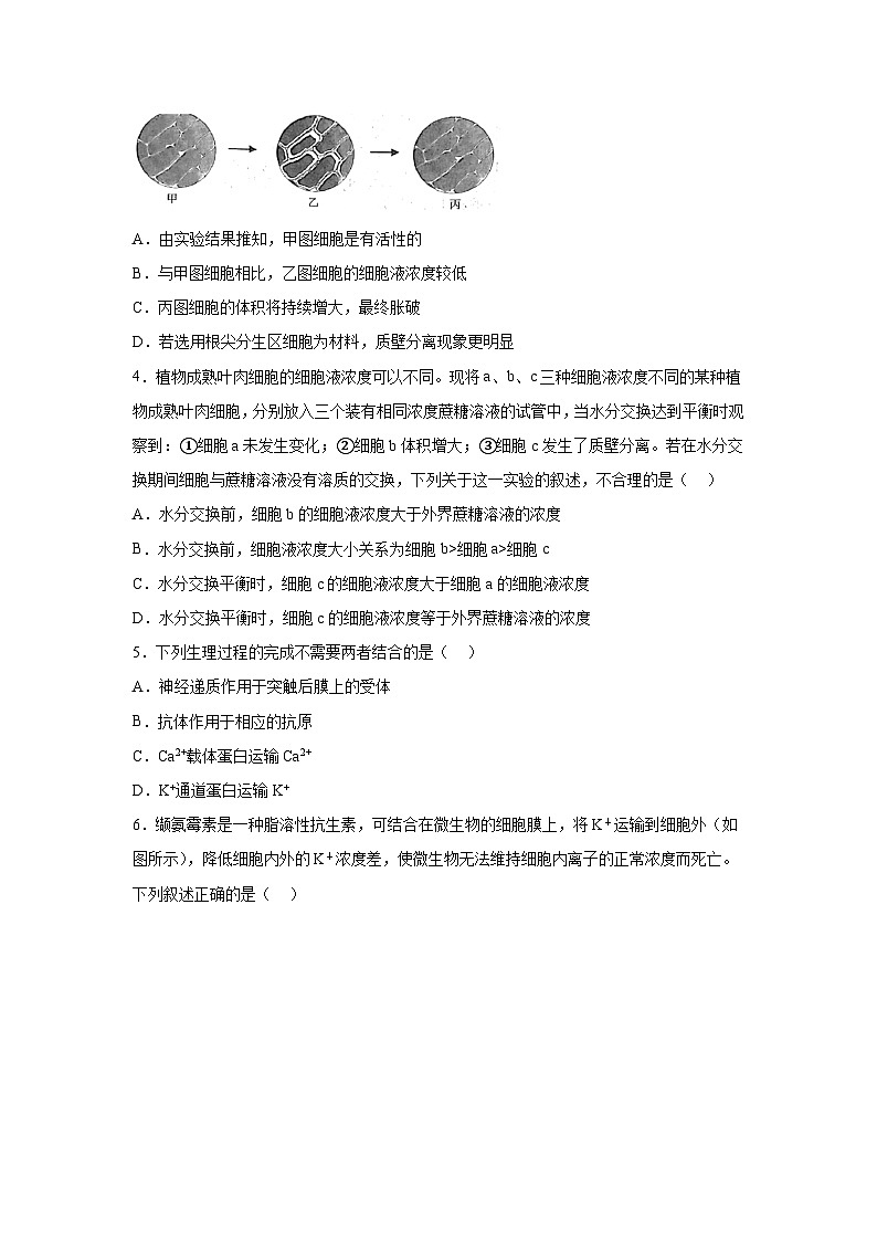 高考生物第一轮复习知识点挖空专项练习 倒数第14天细胞的物质运输、酶（原卷版+答案解析）第3页