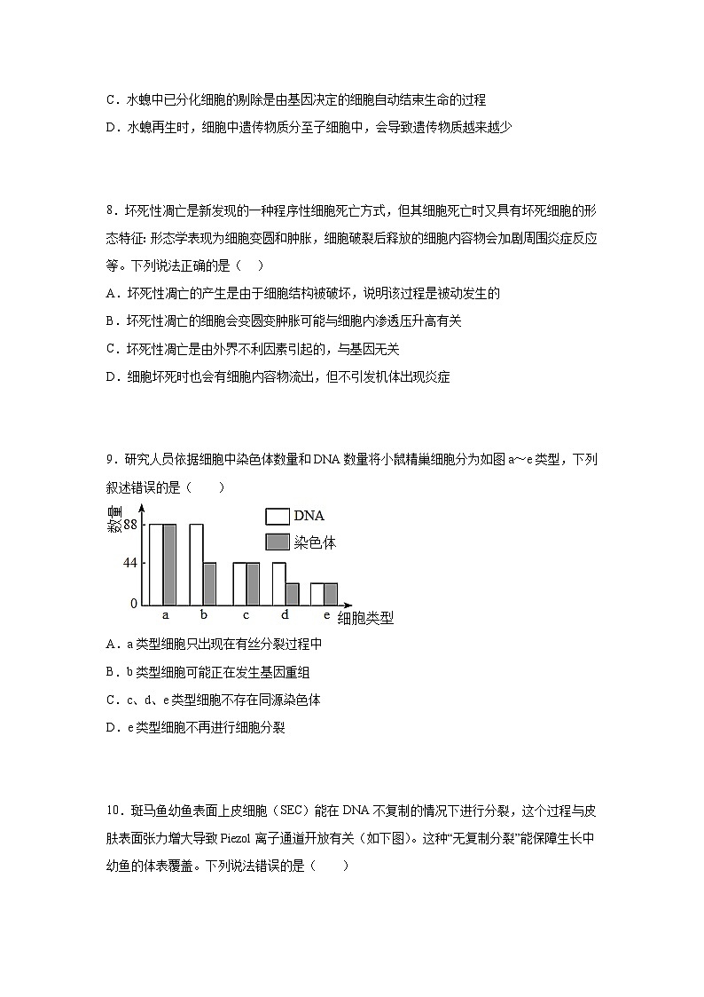 高考生物第一轮复习知识点挖空专项练习 第1套分子组成生命历程（原卷版+答案解析）第3页