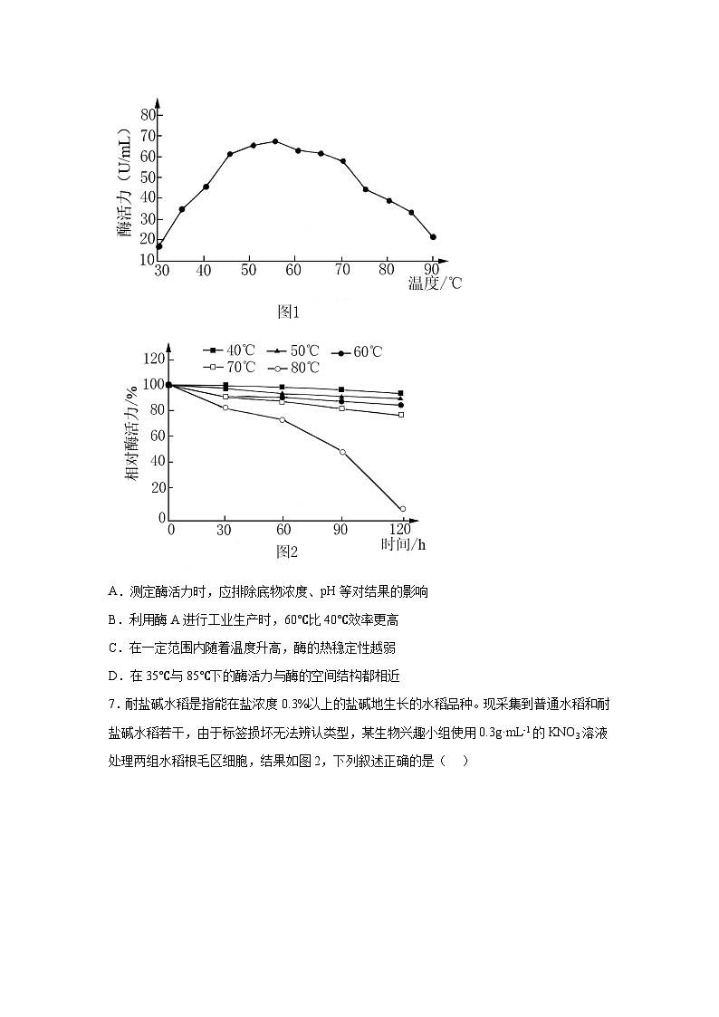 高考生物第一轮复习知识点挖空专项练习 第2套细胞代谢激素调节（原卷版+答案解析）第3页