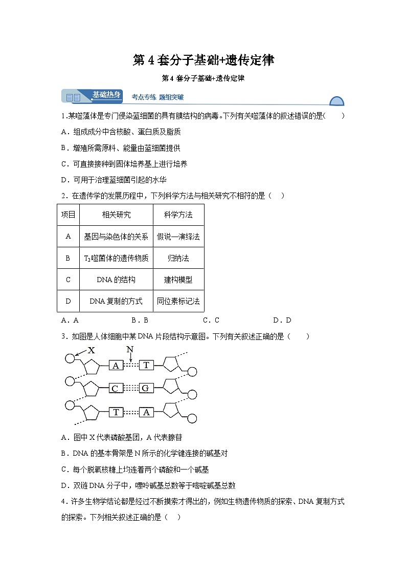 高考生物第一轮复习知识点挖空专项练习 第4套分子基础遗传定律（原卷版+答案解析）第1页