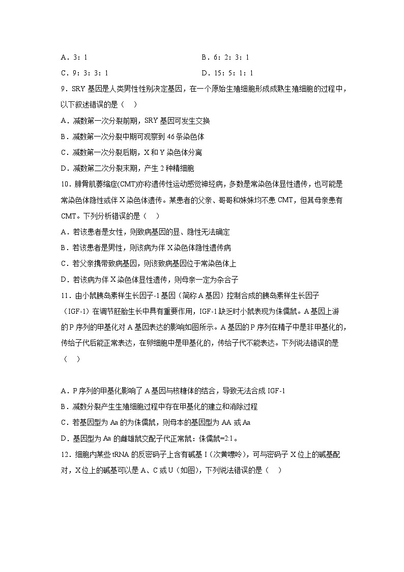 高考生物第一轮复习知识点挖空专项练习 第4套分子基础遗传定律（原卷版+答案解析）第3页