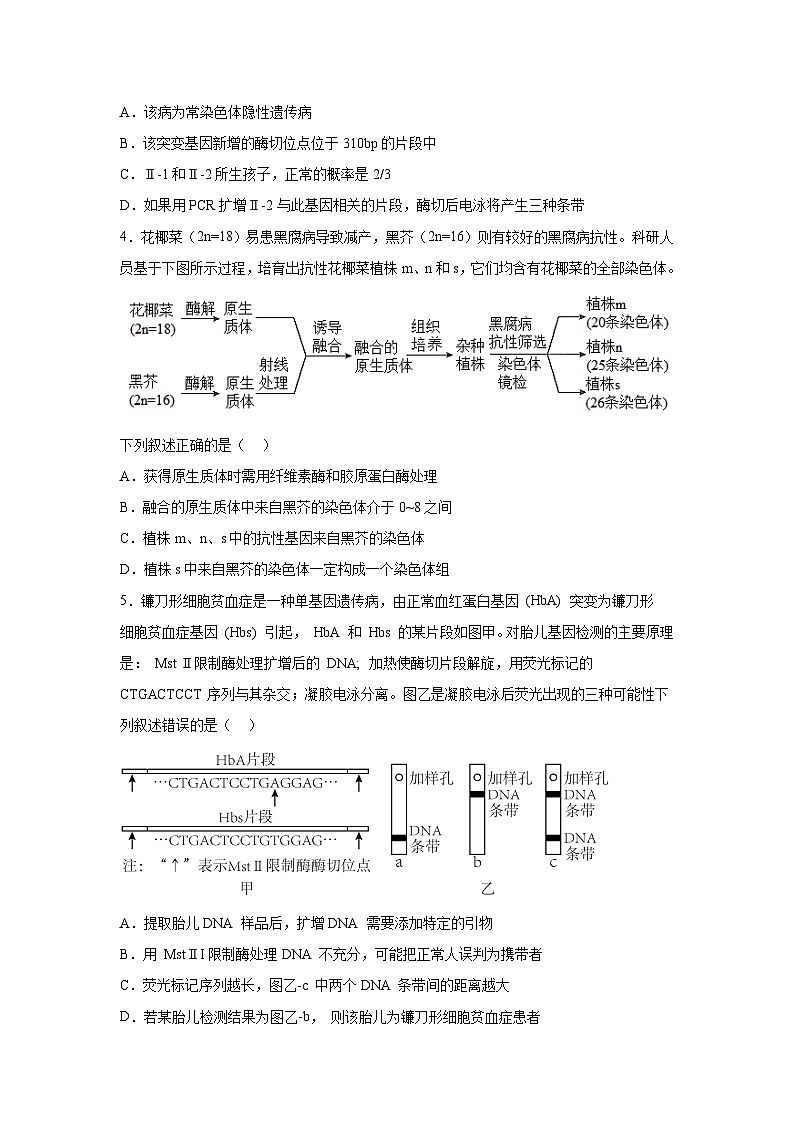 高考生物第一轮复习知识点挖空专项练习 第8套生物技术实践（原卷版+答案解析）第2页