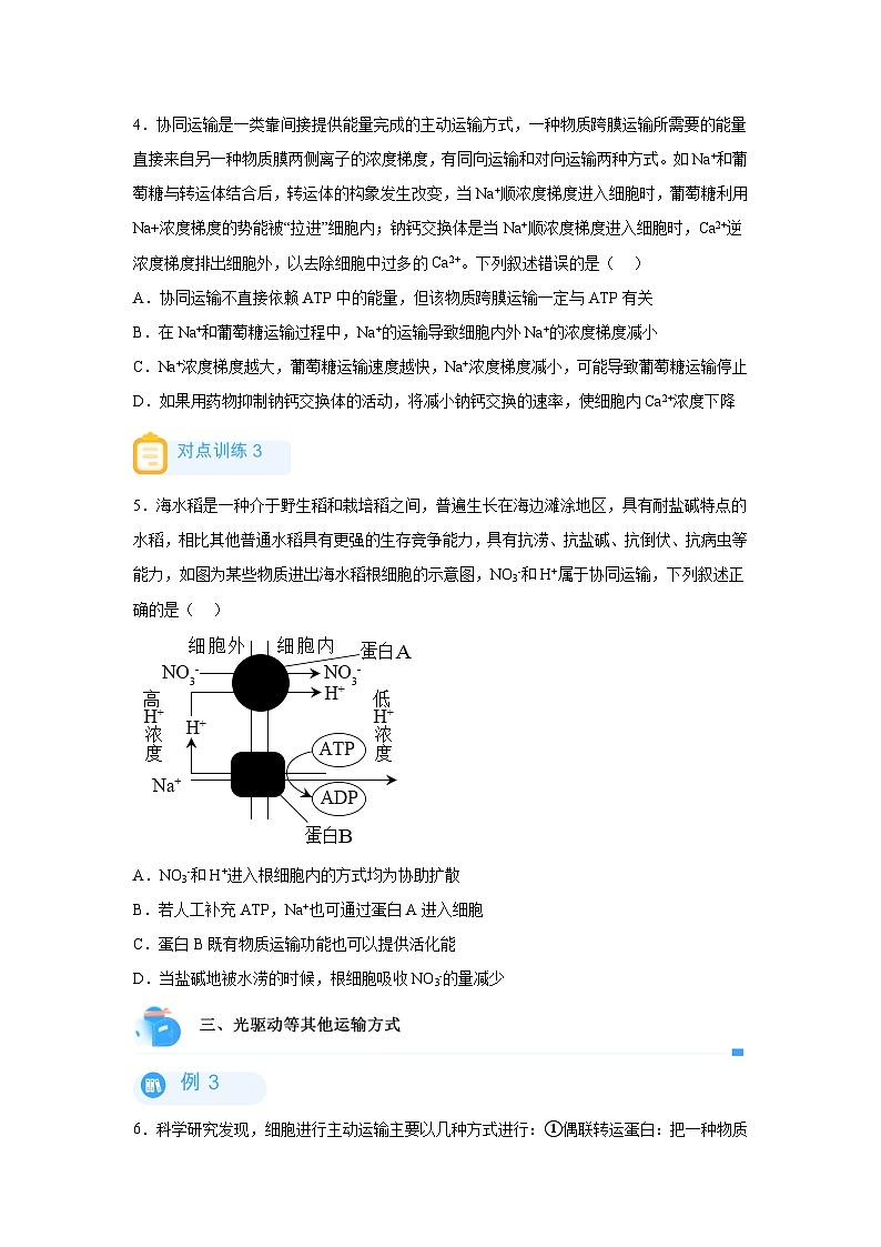 高考生物第一轮复习知识点挖空专项练习 回归课本之新教材的查缺补漏-01物质运输（通道蛋白与载体蛋白区别）（原卷版+答案解析）第3页
