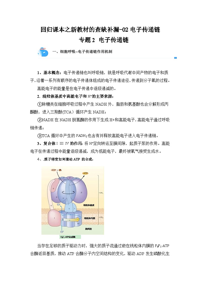 高考生物第一轮复习知识点挖空专项练习 回归课本之新教材的查缺补漏-02电子传递链（原卷版+答案解析）第1页