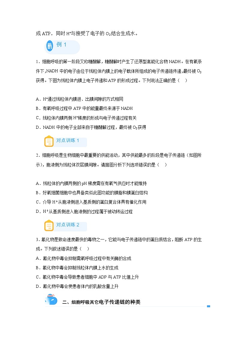 高考生物第一轮复习知识点挖空专项练习 回归课本之新教材的查缺补漏-02电子传递链（原卷版+答案解析）第2页