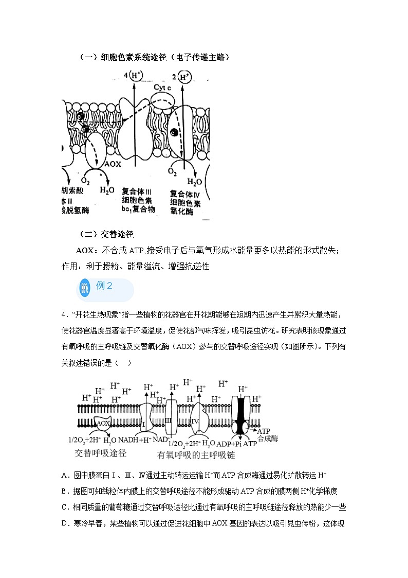 高考生物第一轮复习知识点挖空专项练习 回归课本之新教材的查缺补漏-02电子传递链（原卷版+答案解析）第3页