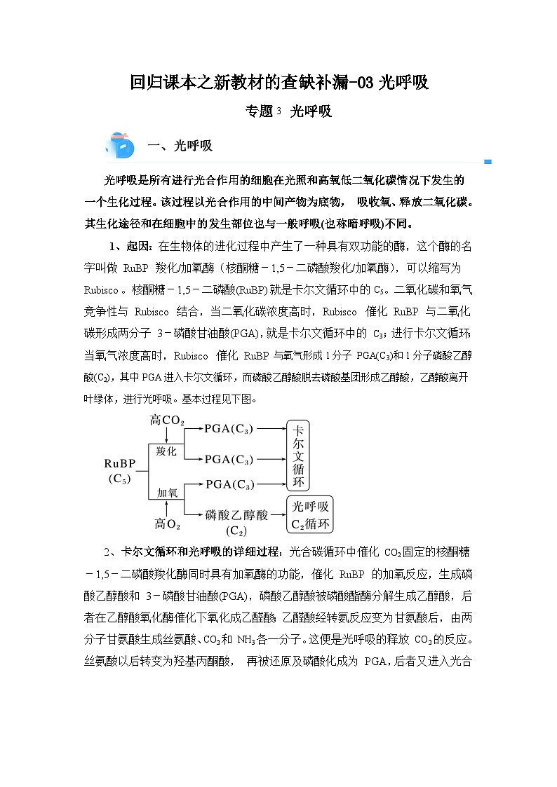 高考生物第一轮复习知识点挖空专项练习 回归课本之新教材的查缺补漏-03光呼吸（原卷版+答案解析）第1页
