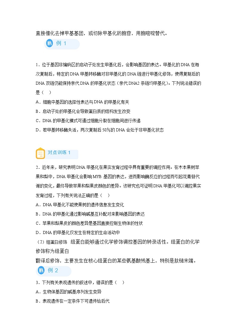 高考生物第一轮复习知识点挖空专项练习 回归课本之新教材的查缺补漏-05表观遗传（原卷版+答案解析）第2页