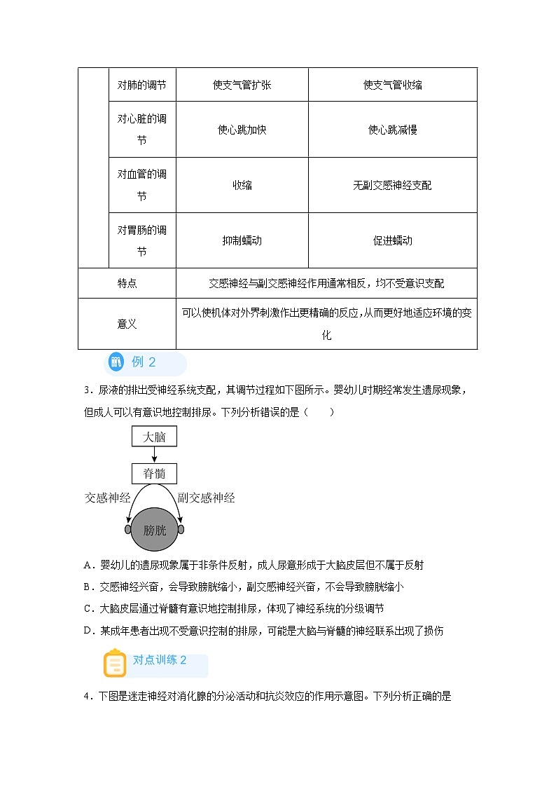 高考生物第一轮复习知识点挖空专项练习 回归课本之新教材的查缺补漏-06交感、副交感神经、记忆、情绪（原卷版+答案解析）第3页