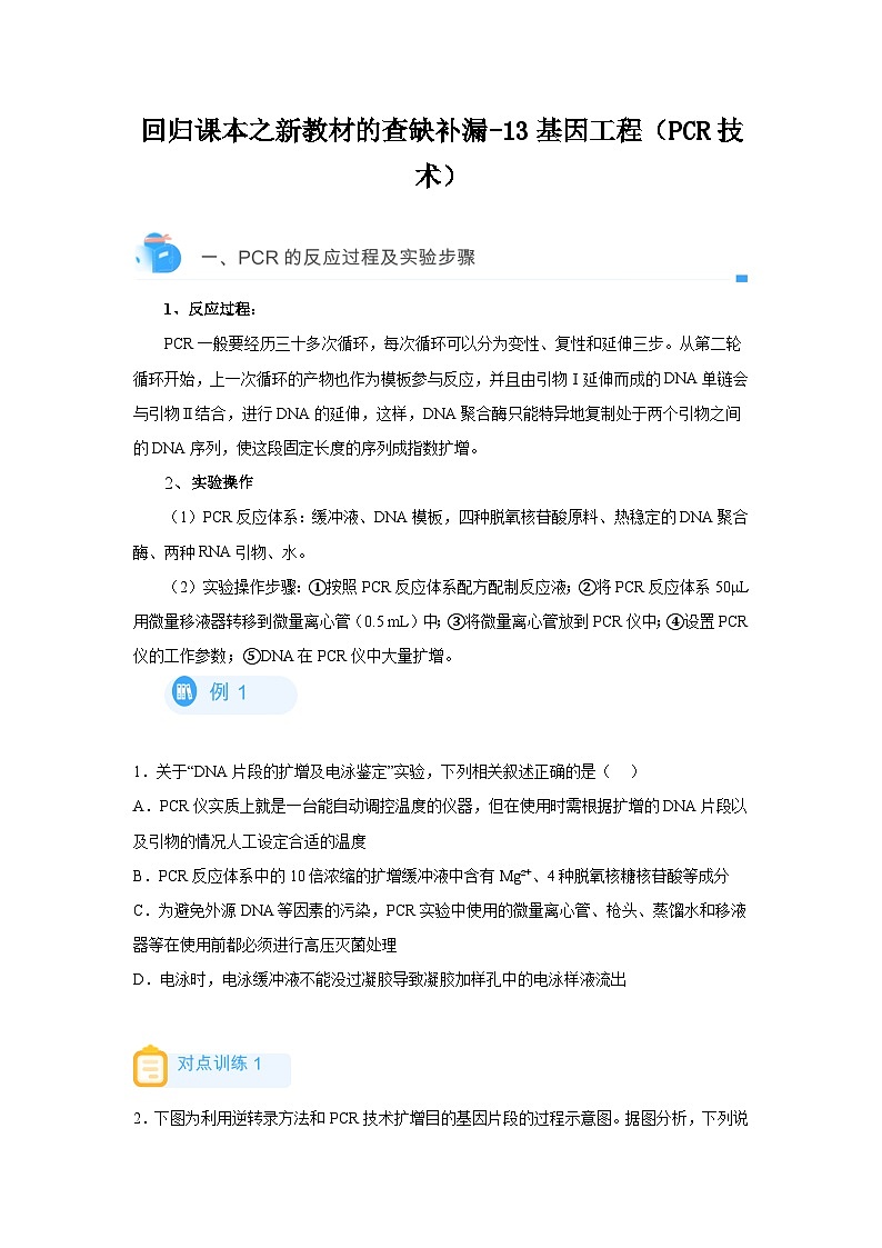 高考生物第一轮复习知识点挖空专项练习 回归课本之新教材的查缺补漏-13基因工程（PCR技术）（原卷版+答案解析）01