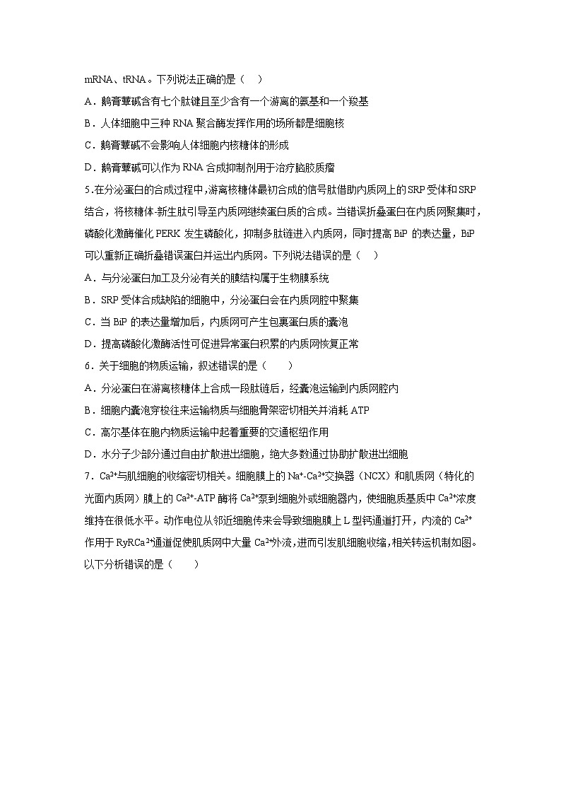 高考生物第一轮复习知识点挖空专项练习 专题1细胞的分组成与结构（原卷版+答案解析）02