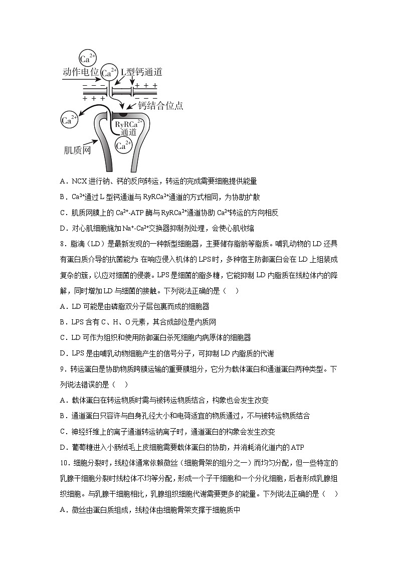 高考生物第一轮复习知识点挖空专项练习 专题1细胞的分组成与结构（原卷版+答案解析）03