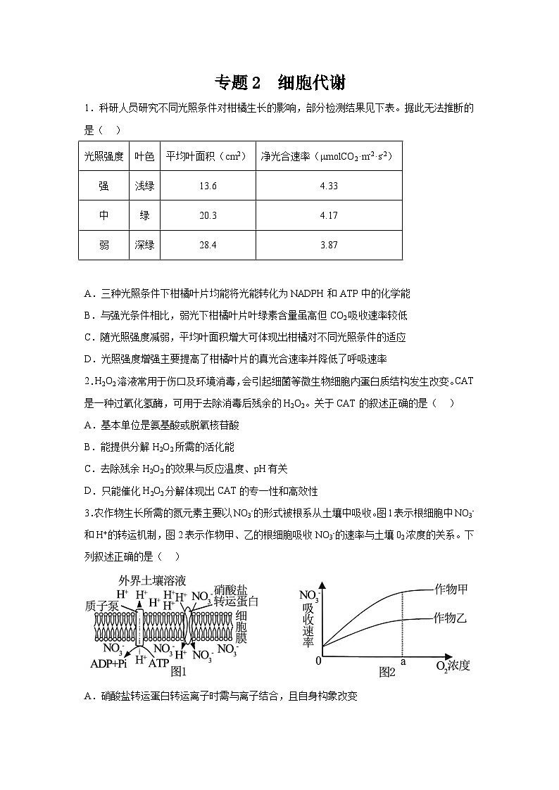 高考生物第一轮复习知识点挖空专项练习 专题2细胞代谢（原卷版+答案解析）第1页