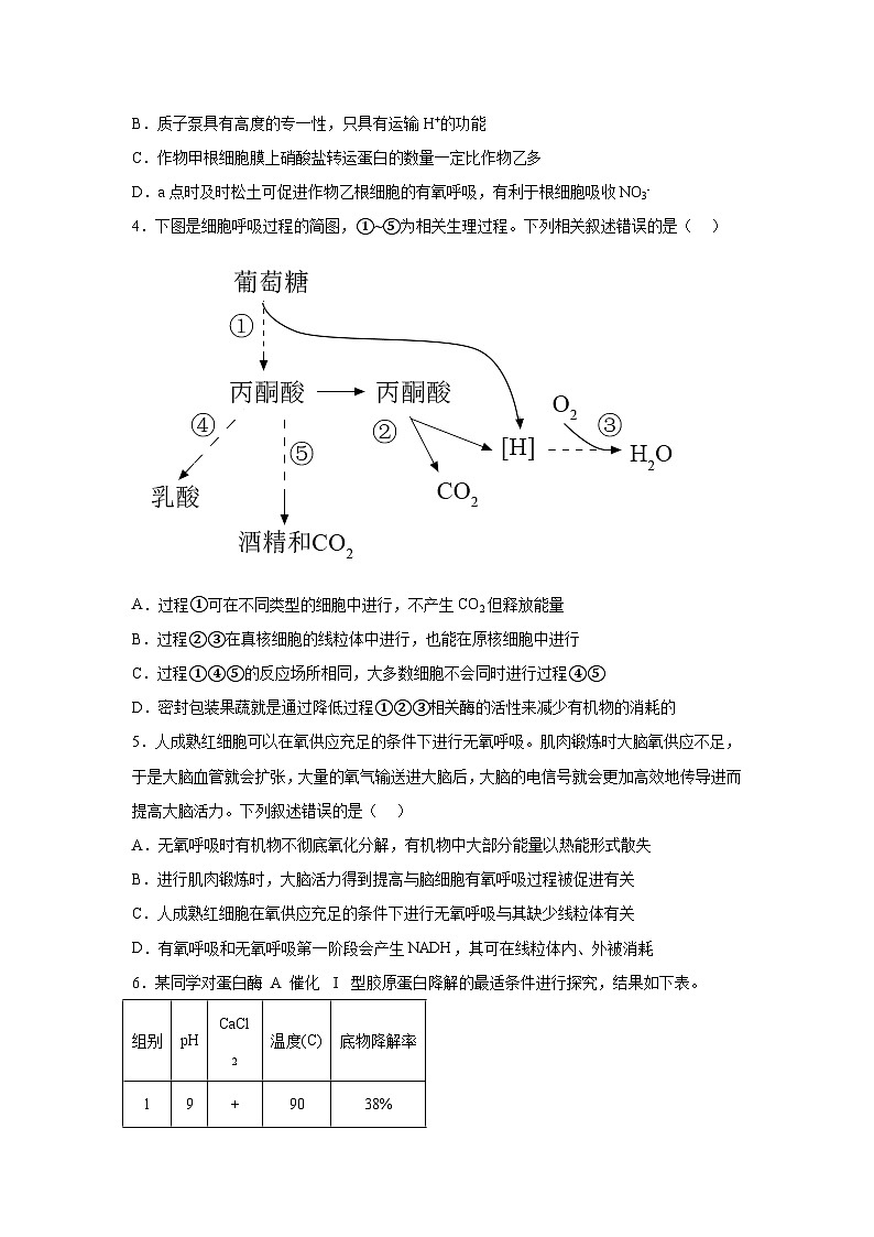 高考生物第一轮复习知识点挖空专项练习 专题2细胞代谢（原卷版+答案解析）第2页