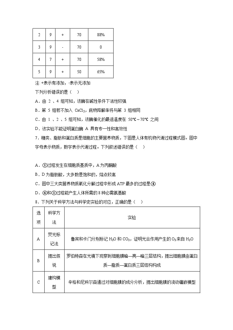 高考生物第一轮复习知识点挖空专项练习 专题2细胞代谢（原卷版+答案解析）第3页