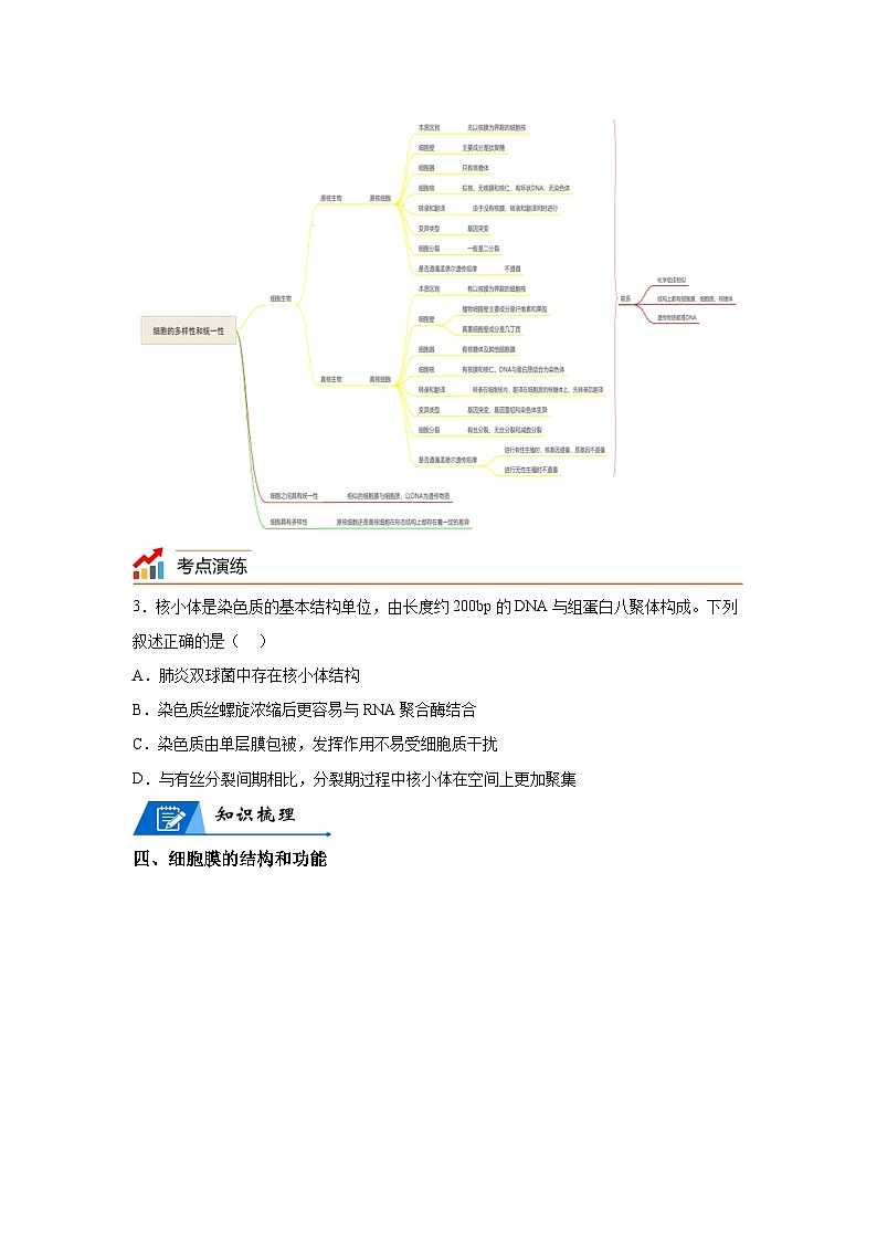 高考生物第一轮复习知识点挖空专项练习 专题2细胞的结构和功能-回归课本-23版高考生物复习（原卷版+答案解析）第3页