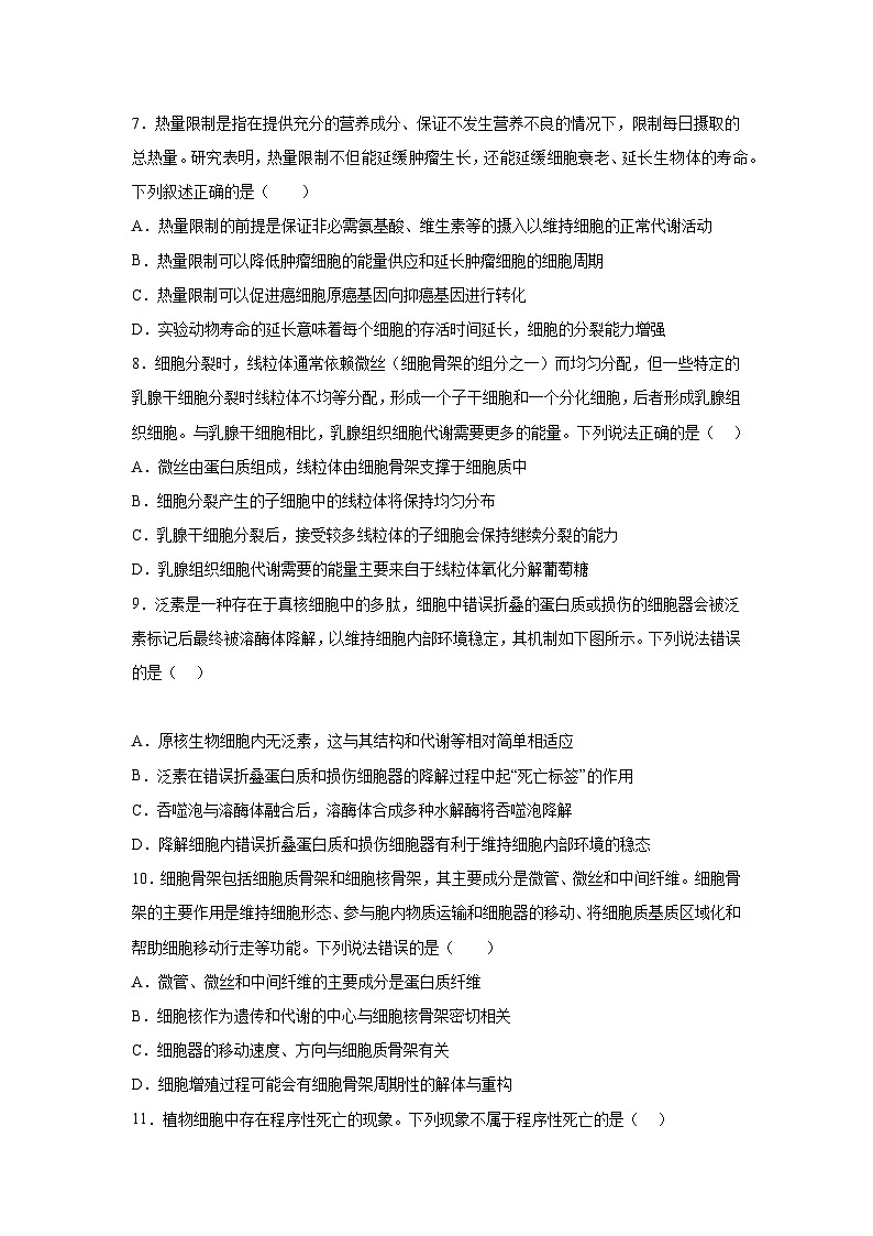 高考生物第一轮复习知识点挖空专项练习 专题3细胞的增殖、分化、衰老、凋亡（原卷版+答案解析）第3页