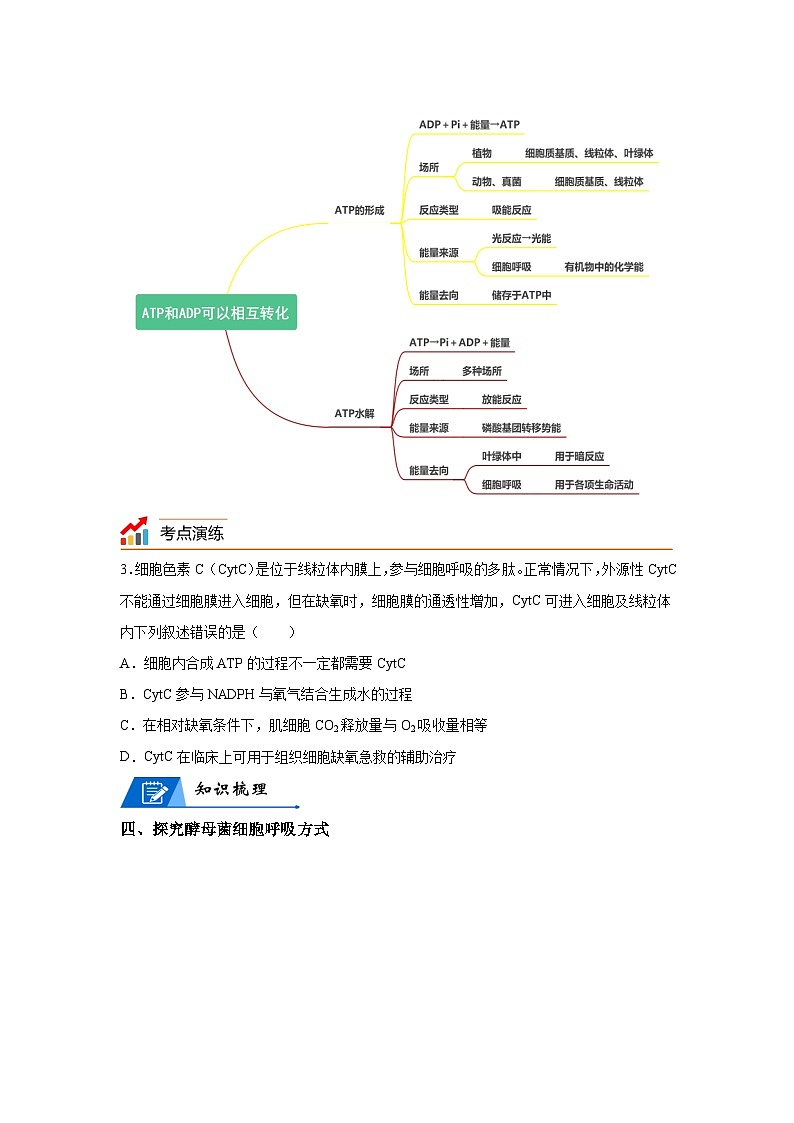 高考生物第一轮复习知识点挖空专项练习 专题4细胞代谢-回归课本-23版高考生物复习（原卷版+答案解析）第3页