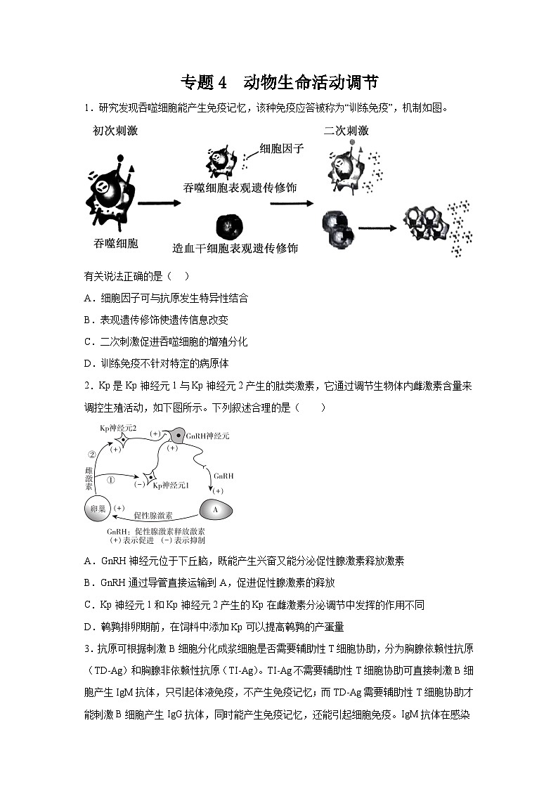 高考生物第一轮复习知识点挖空专项练习 专题4动物生命活动调节（原卷版+答案解析）第1页