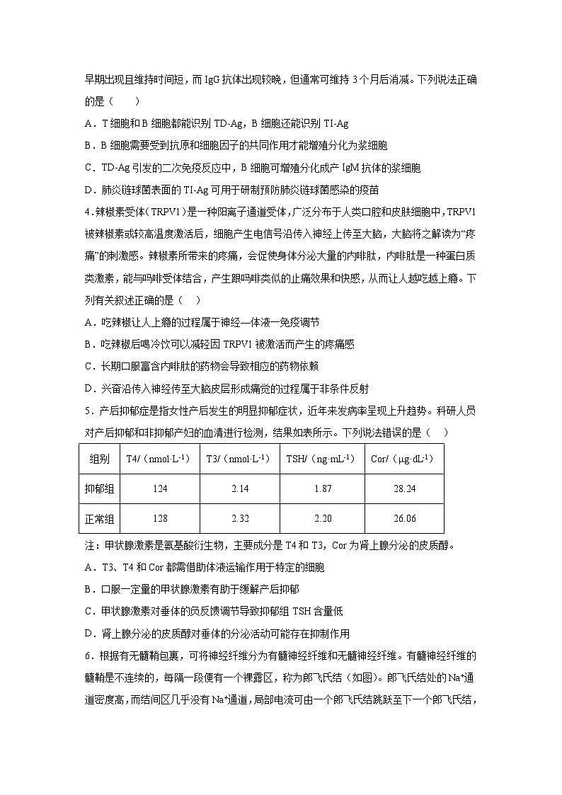 高考生物第一轮复习知识点挖空专项练习 专题4动物生命活动调节（原卷版+答案解析）第2页