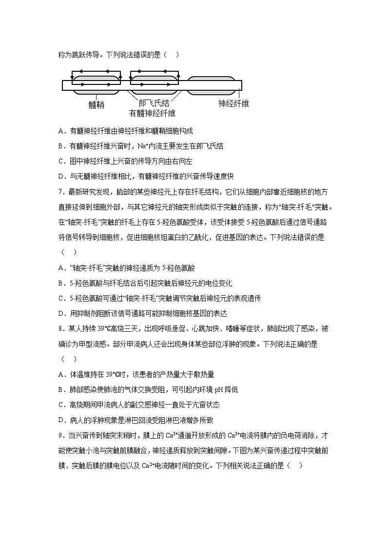 高考生物第一轮复习知识点挖空专项练习 专题4动物生命活动调节（原卷版+答案解析）第3页