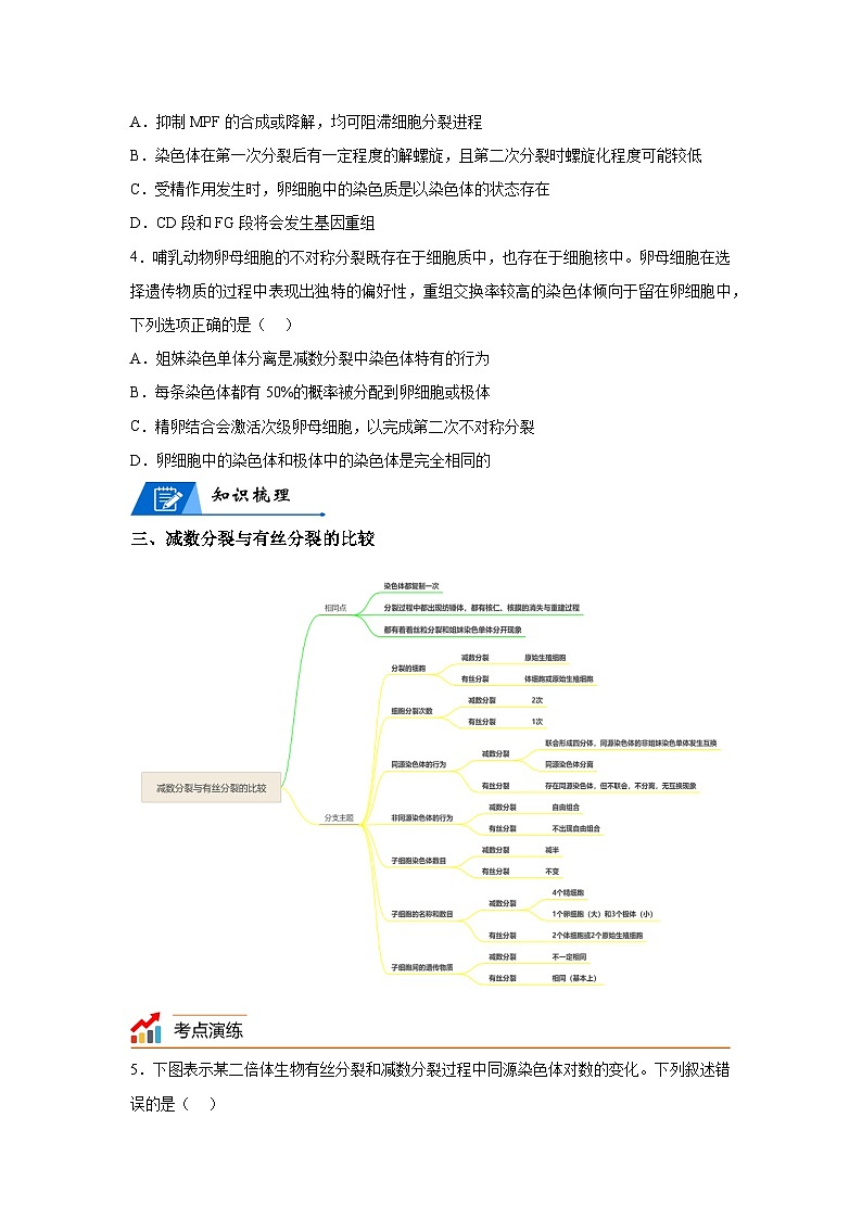 高考生物第一轮复习知识点挖空专项练习 专题6减数分裂和受精作用-回归课本-23版高考生物复习（原卷版+答案解析）03