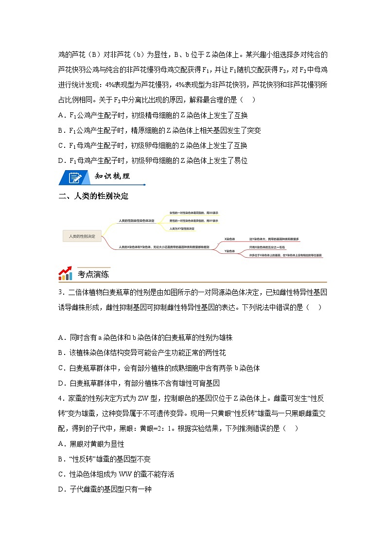 高考生物第一轮复习知识点挖空专项练习 专题9伴性遗传与人类遗传病-回归课本-23版高考生物复习（原卷版+答案解析）第2页