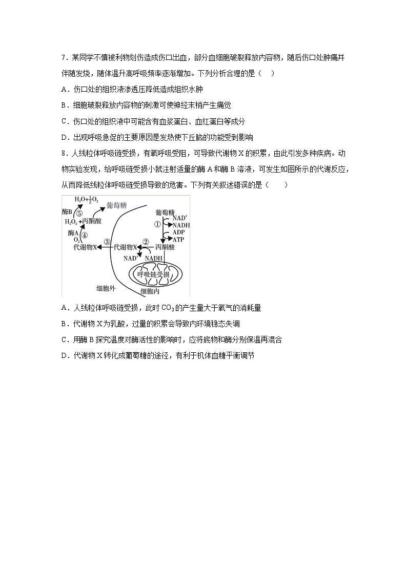 高考生物第一轮复习知识点挖空专项练习 专题11人体的内环境与稳态-回归课本-23版高考生物复习（原卷版+答案解析）第3页