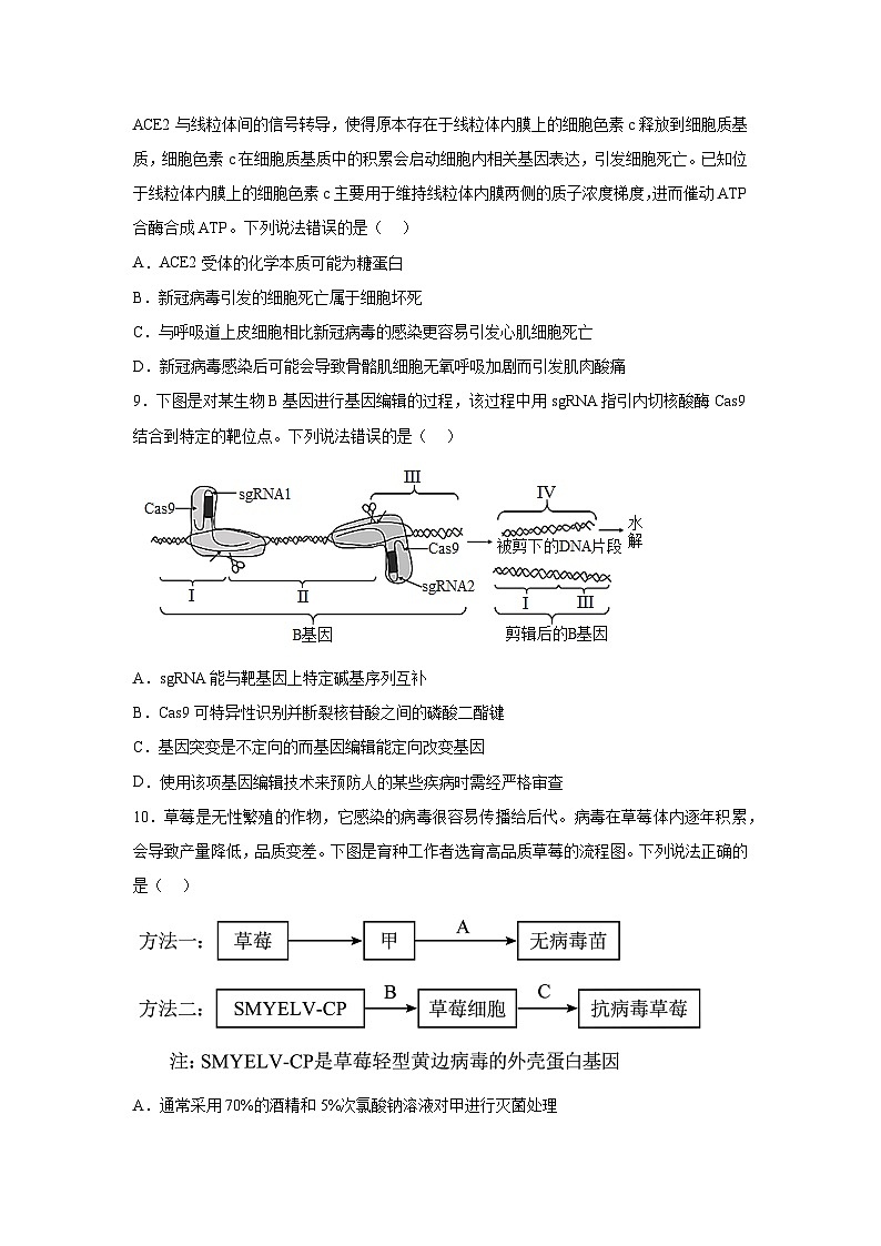 高考生物第一轮复习知识点挖空专项练习 专题11现代生物科技专题（原卷版+答案解析）第3页