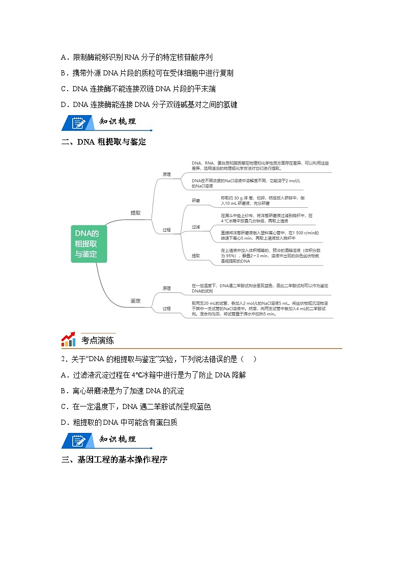 高考生物第一轮复习知识点挖空专项练习 专题18基因工程-回归课本-23版高考生物复习（原卷版+答案解析）02
