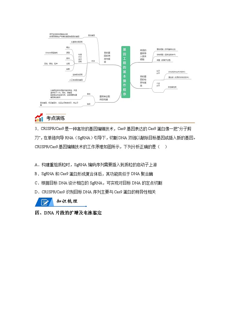 高考生物第一轮复习知识点挖空专项练习 专题18基因工程-回归课本-23版高考生物复习（原卷版+答案解析）03